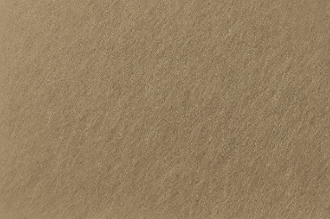 Scuffed Gold Bronze