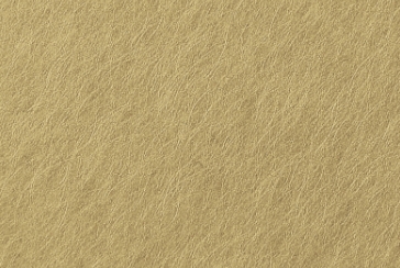 Scuffed Gold
