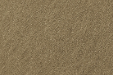 Scuffed Gold Bronze