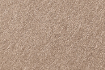 Scuffed Pink Bronze