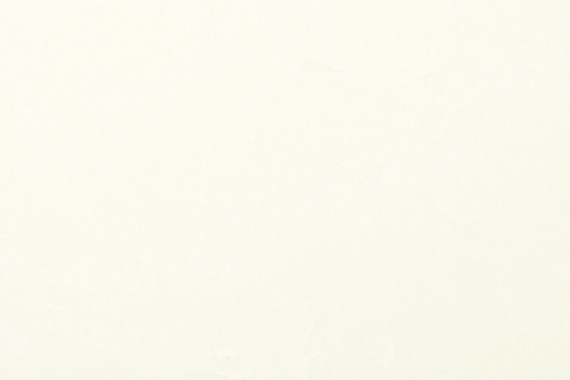 Mellow White / Matte (DS-01M) ◎Translucent